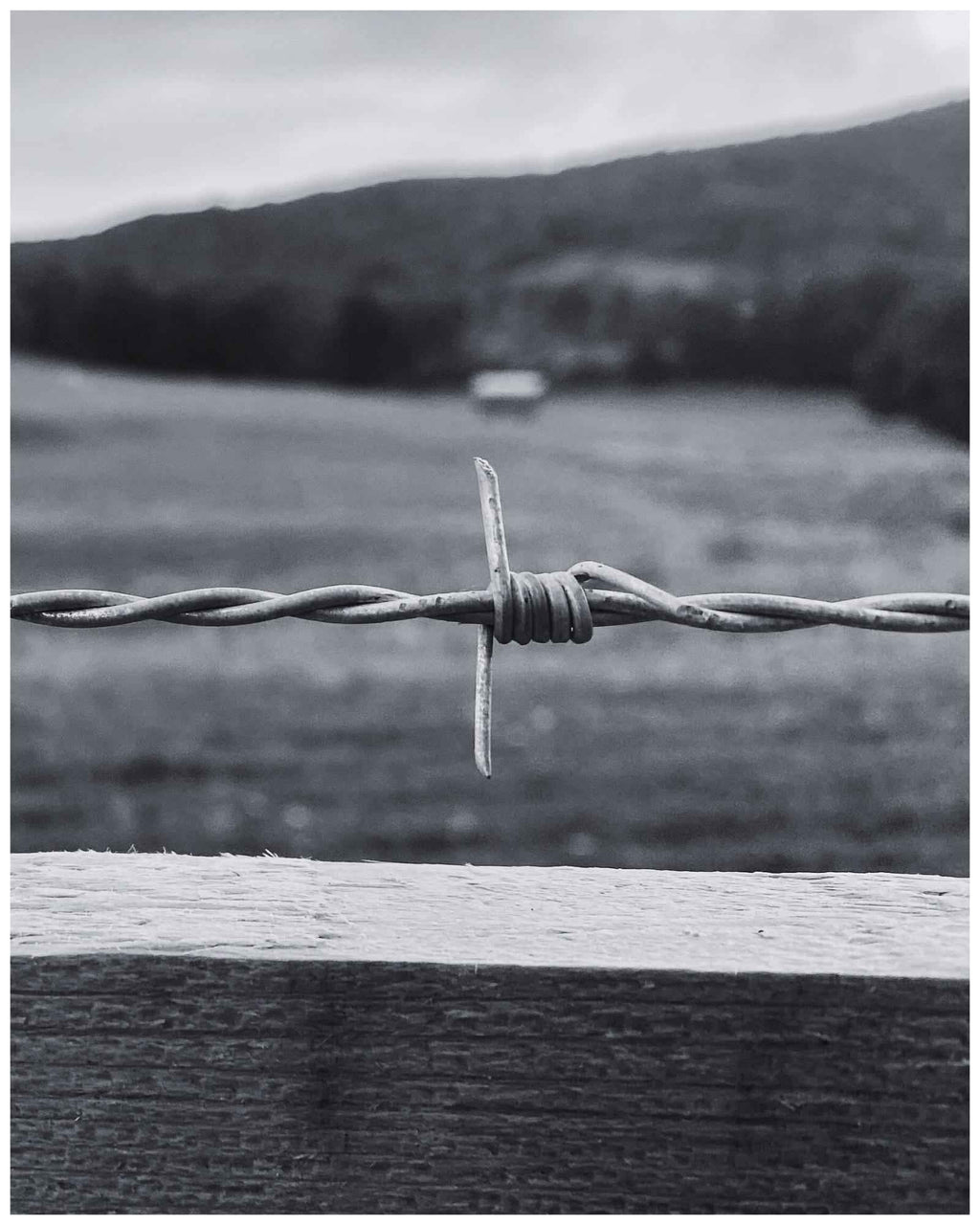 Barbed Wire Print: Rustic Western Landscape Wall Art