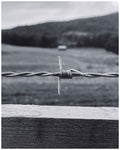 Barbed Wire Print: Rustic Western Landscape Wall Art