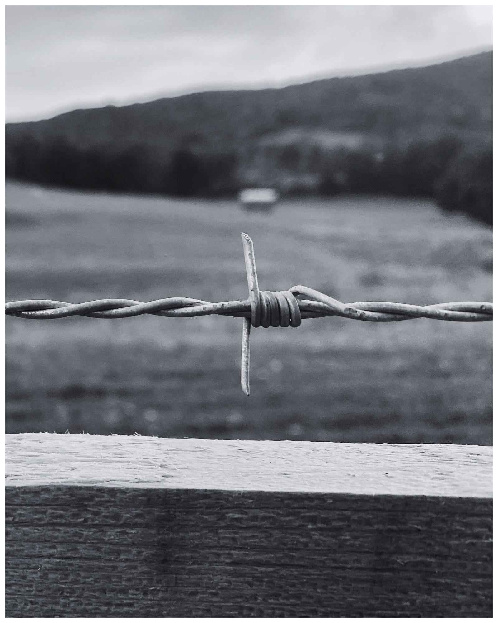 Barbed Wire Print: Rustic Western Landscape Wall Art