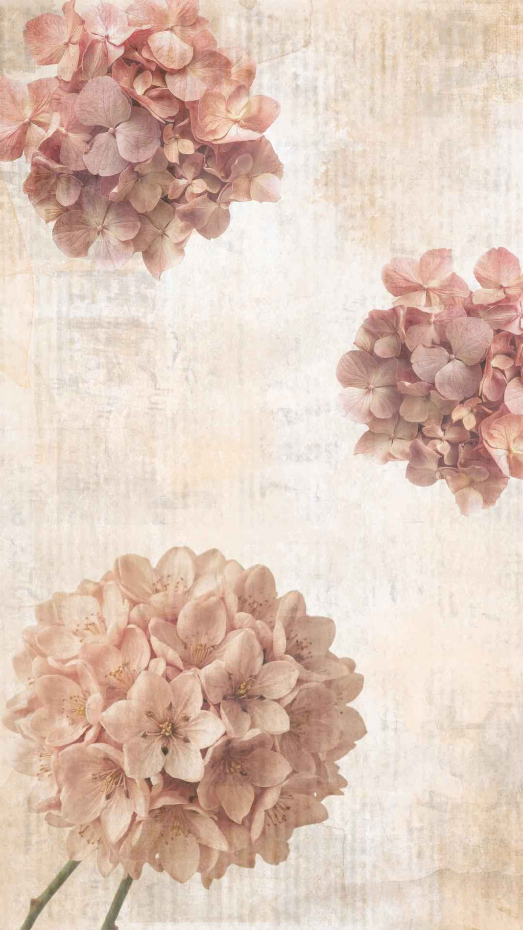 Vintage Flowers Phone Wallpaper | Set of 7 | iOS and Android | Digital Download