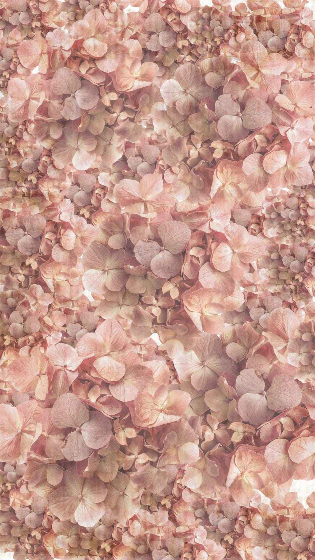 Vintage Flowers Phone Wallpaper | Set of 7 | iOS and Android | Digital Download