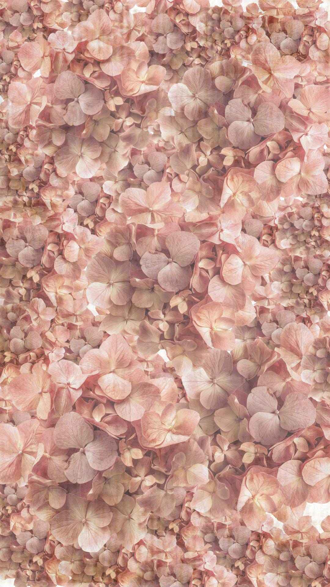 Vintage Flowers Phone Wallpaper | Set of 7 | iOS and Android | Digital Download