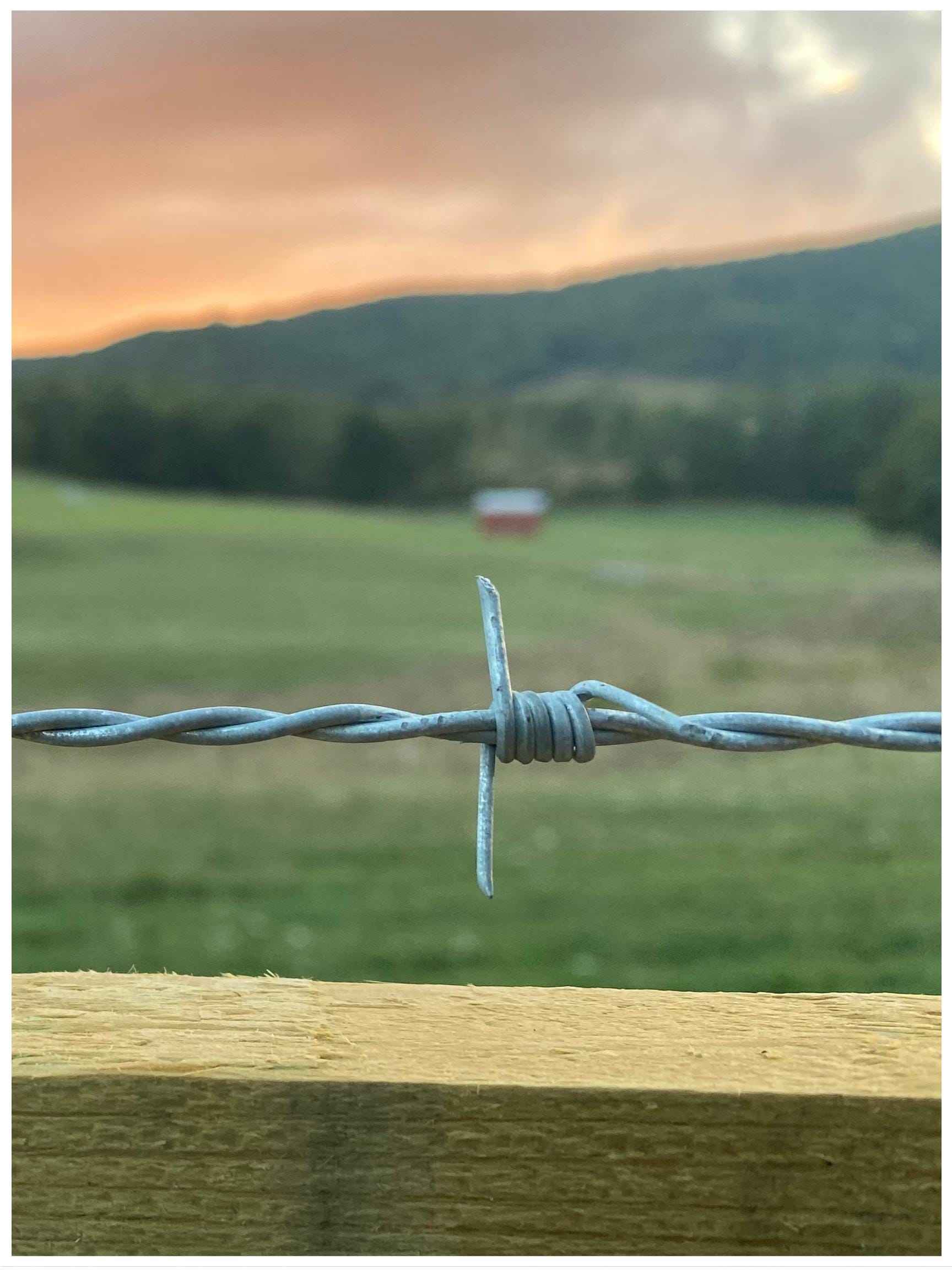 Rustic Sunset Print: Barbed Wire Fence, Western Landscape