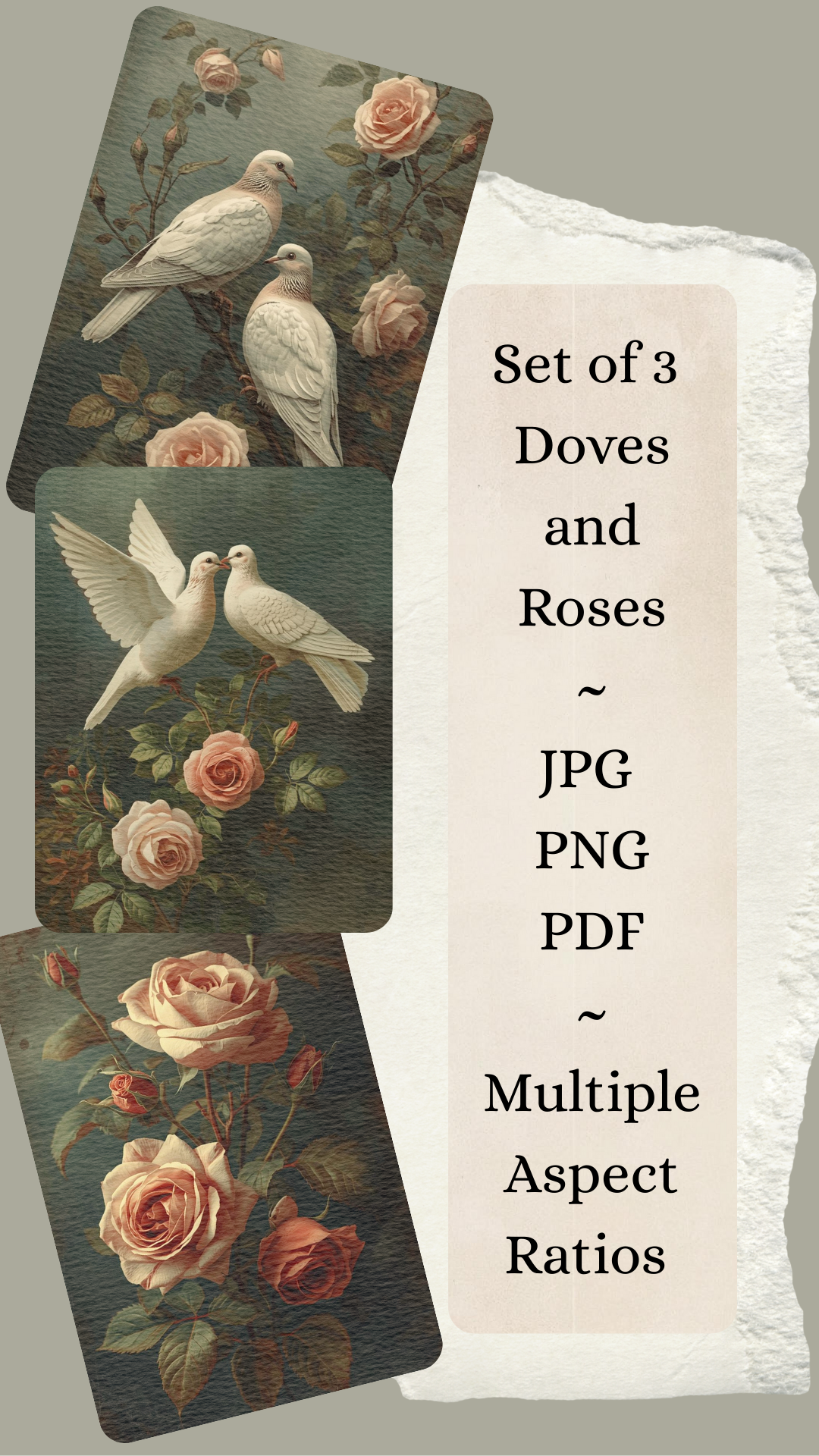 Doves and Roses Valentines Art | JPG | PNG | PDF | Multiple Aspect Ratios, Vintage Valentines Wall Art, Vintage Roses and Doves Image, Craft Paper,