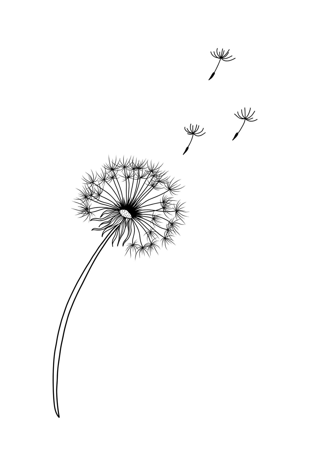 Line Art Flowers | Multiple Aspect Ratios